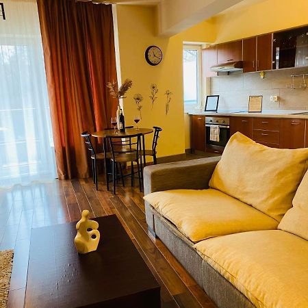 Eclipse Apartment Free Parking Cluj-Napoca Exterior foto